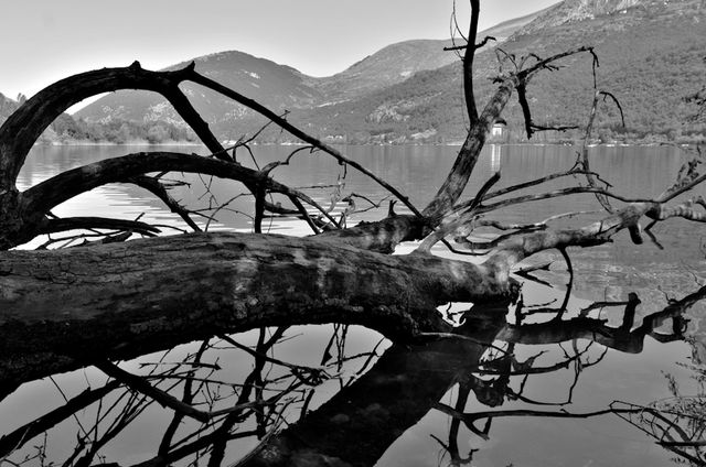 LagoDiScanno-20090815-DSC_5247-Edit.jpg