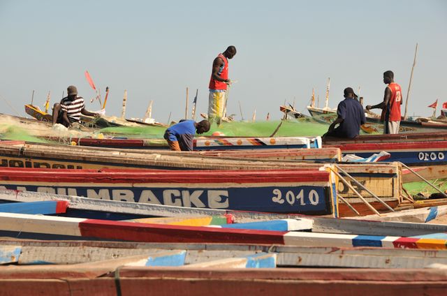 Senegal-DSC_6913.jpg