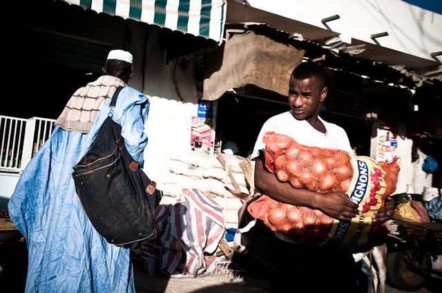 Senegal-DSC_6965.jpg