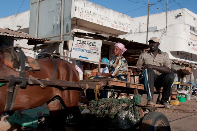 Senegal-DSC_6967.jpg