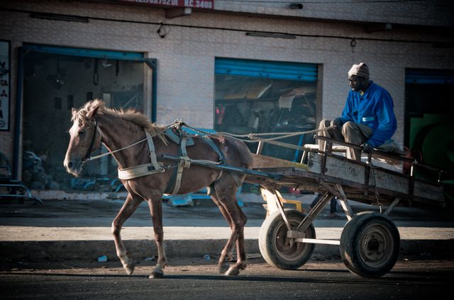 Senegal-DSC_7084.jpg