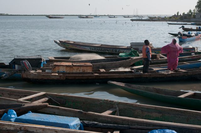 Senegal-DSC_7513.jpg