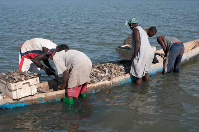 Senegal-DSC_7542.jpg