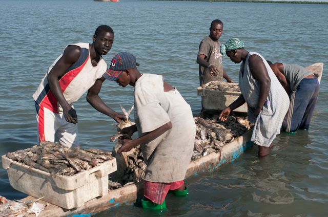 Senegal-DSC_7543.jpg