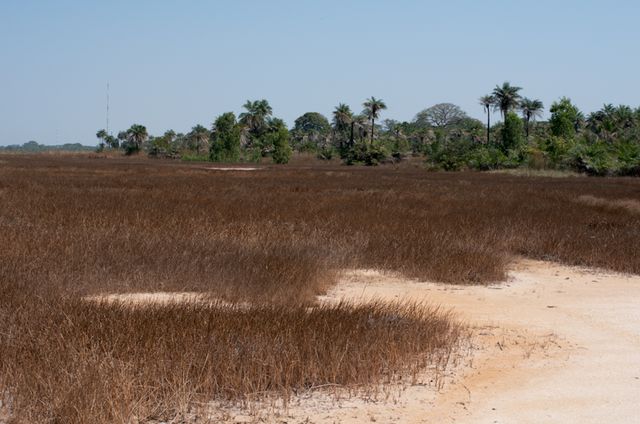 Senegal-DSC_7731.jpg