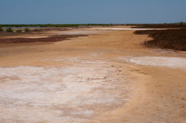 Senegal-DSC_7734.jpg