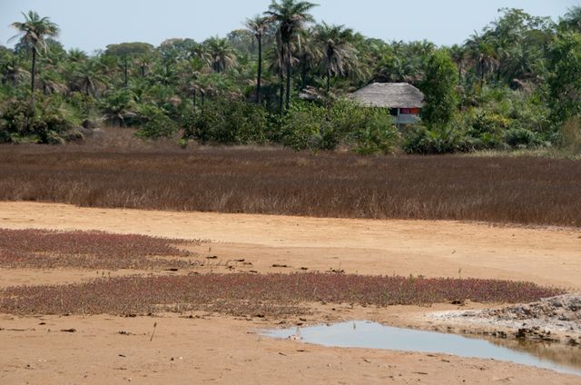 Senegal-DSC_7745.jpg