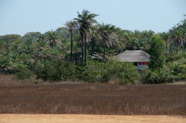 Senegal-DSC_7749.jpg