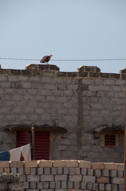 Senegal-DSC_8206.jpg