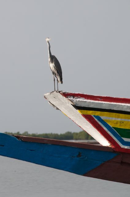 Senegal-DSC_8231.jpg