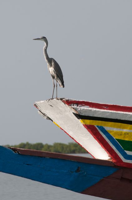 Senegal-DSC_8232.jpg