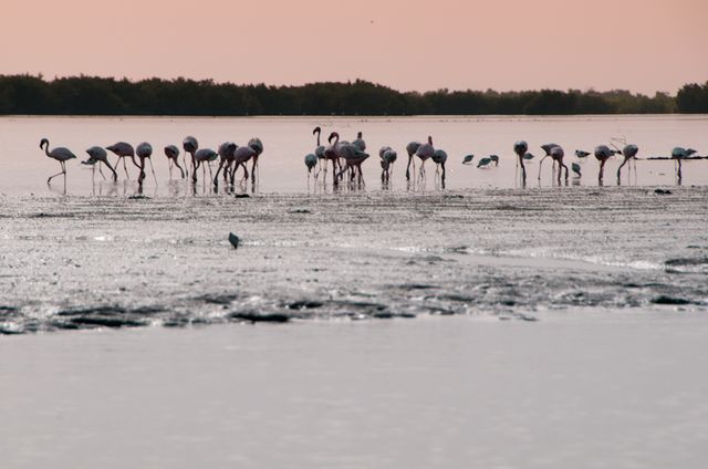 Senegal-DSC_8297.jpg