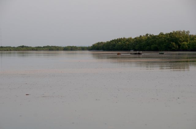 Senegal-DSC_8359.jpg