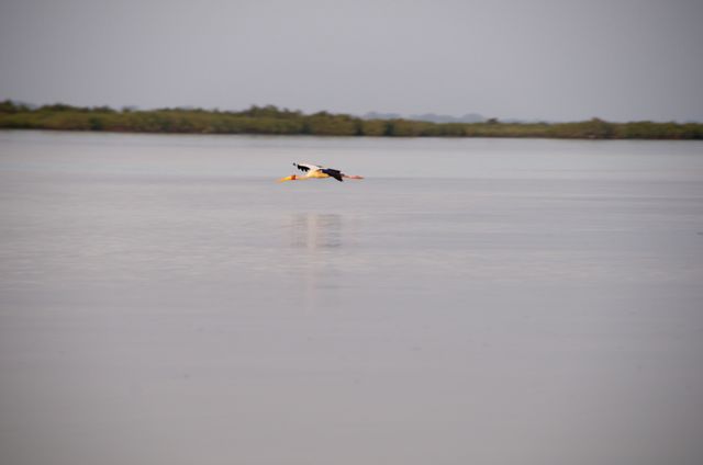 Senegal-DSC_8378.jpg