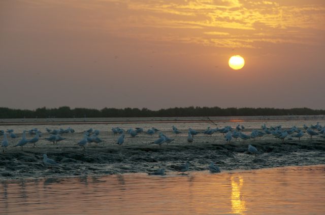 Senegal-DSC_8419.jpg