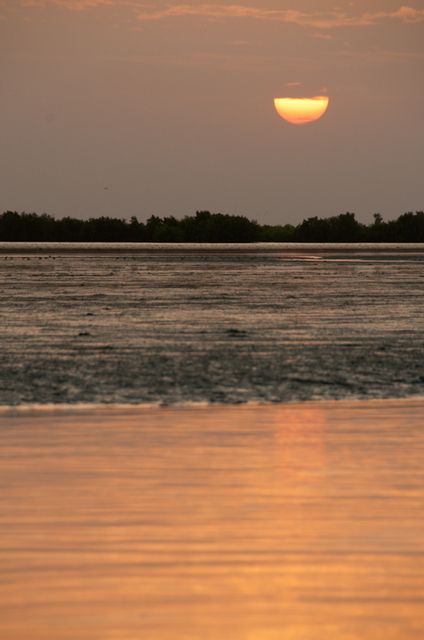 Senegal-DSC_8425.jpg