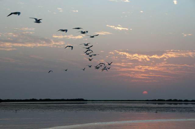 Senegal-DSC_8445.jpg