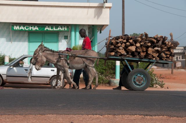 Senegal-DSC_8518.jpg