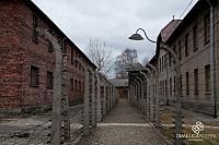 AuschwitzBirkenauDSC_7954.jpg