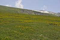 GiroDItaliaBlockhaus-20090527-DSC_7974.jpg