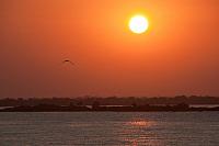 Senegal-DSC_7249.jpg