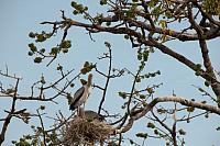 Senegal-DSC_8212.jpg