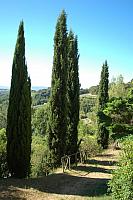 Perugia_20070713-080703-DSC_9196.jpg